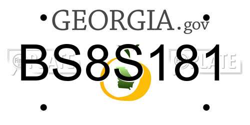 BS8S181 Georgia License Plate