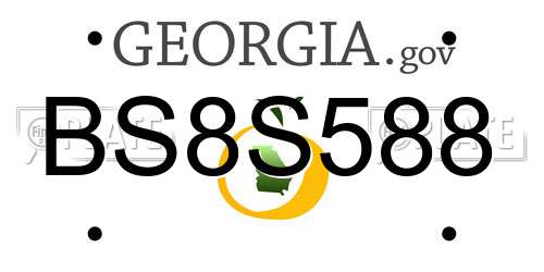 BS8S588 Georgia License Plate