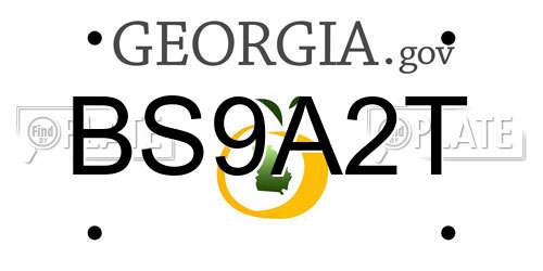 BS9A2T Georgia License Plate