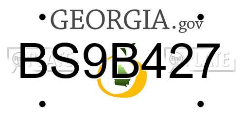 BS9B427 Georgia License Plate