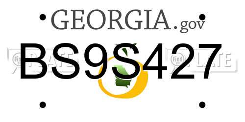 BS9S427 Georgia License Plate