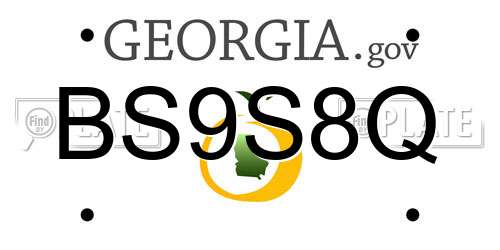 BS9S8Q Georgia License Plate