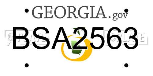 BSA2563 Georgia License Plate