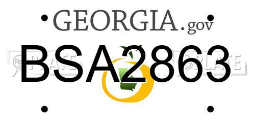 BSA2863 Georgia License Plate
