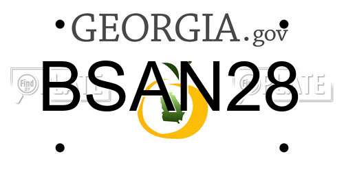 BSAN28 Georgia License Plate