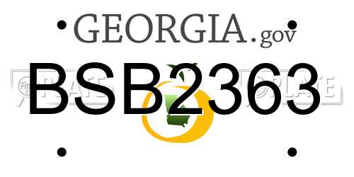 BSB2363 Georgia License Plate
