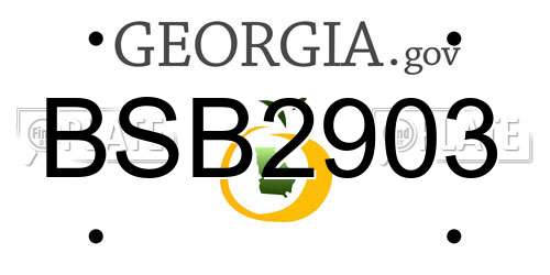 BSB2903 Georgia License Plate