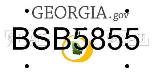 BSB5855 Georgia License Plate