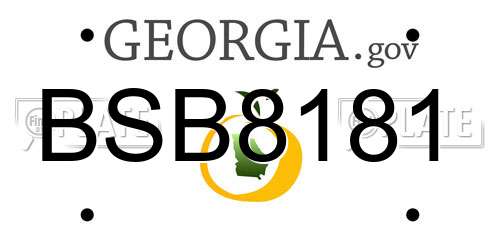 BSB8181 Georgia License Plate