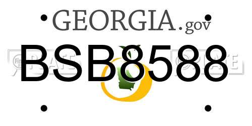 BSB8588 Georgia License Plate