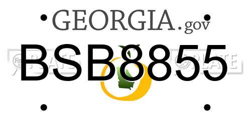 BSB8855 Georgia License Plate