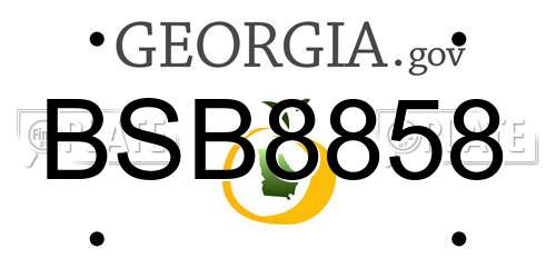 BSB8858 Georgia License Plate