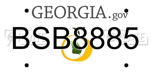 BSB8885 Georgia License Plate