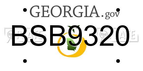 BSB9320 Georgia License Plate
