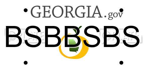 BSBBSBS Georgia License Plate