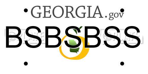 BSBSBSS Georgia License Plate