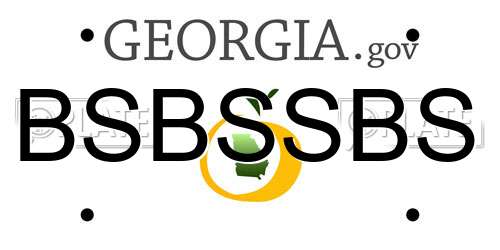 BSBSSBS Georgia License Plate