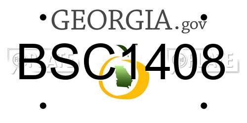 BSC1408 Georgia License Plate
