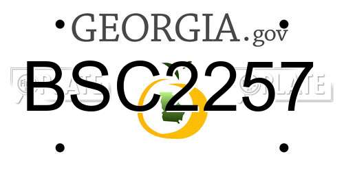 BSC2257 Georgia License Plate