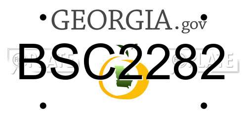 BSC2282 Georgia License Plate