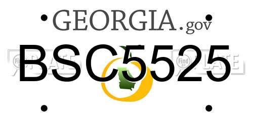 BSC5525 Georgia License Plate