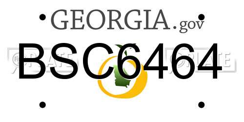 BSC6464 Georgia License Plate