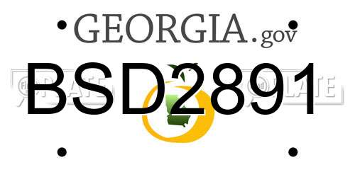 BSD2891 Georgia License Plate