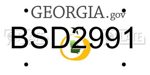 BSD2991 Georgia License Plate