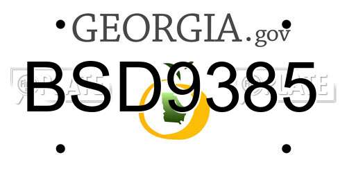 BSD9385 Georgia License Plate