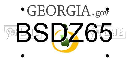 BSDZ65 Georgia License Plate