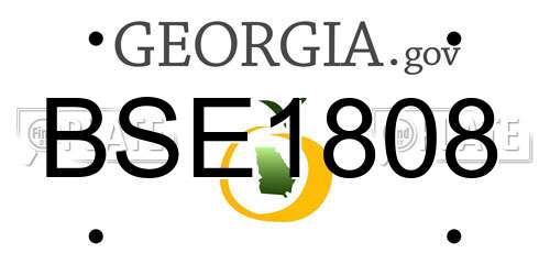 BSE1808 Georgia License Plate