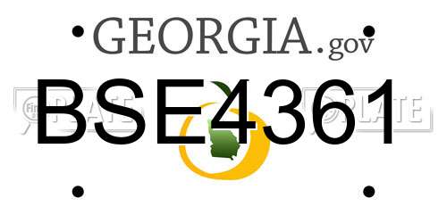 BSE4361 Georgia License Plate