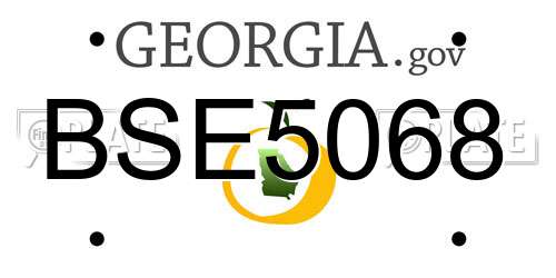 BSE5068 Georgia License Plate