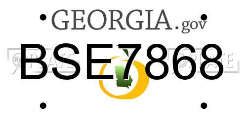 BSE7868 Georgia License Plate