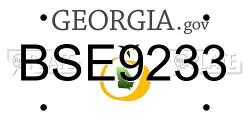 BSE9233 Georgia License Plate