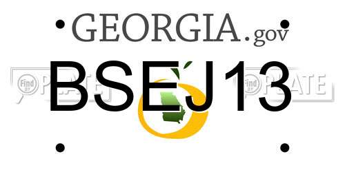 BSEJ13 Georgia License Plate
