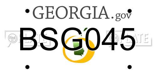 BSG045 Georgia License Plate