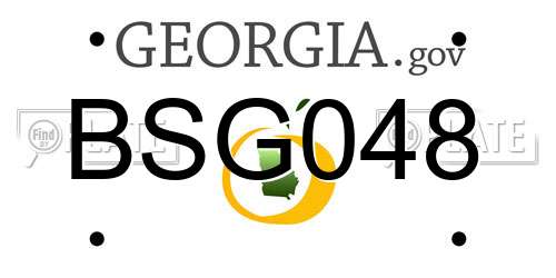 BSG048 Georgia License Plate