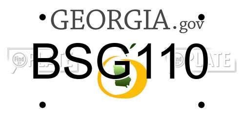BSG110 Georgia License Plate