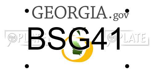 BSG41 Georgia License Plate
