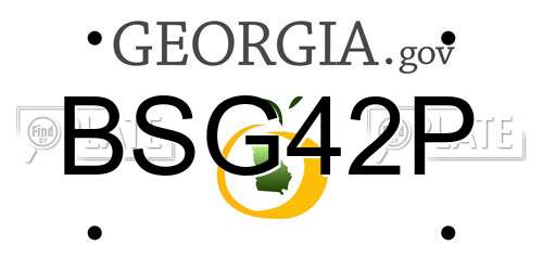 BSG42P Georgia License Plate