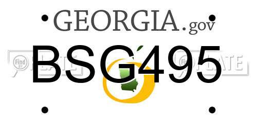 BSG495 Georgia License Plate