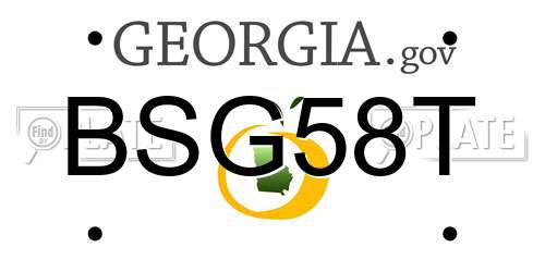 BSG58T Georgia License Plate