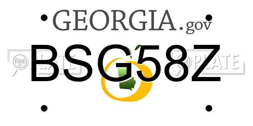 BSG58Z Georgia License Plate