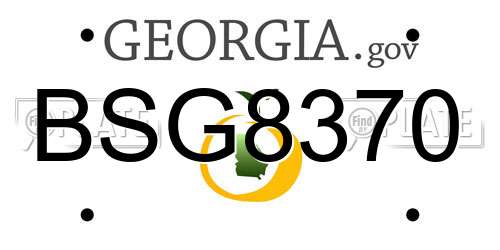BSG8370 Georgia License Plate