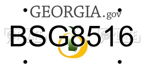 BSG8516 Georgia License Plate