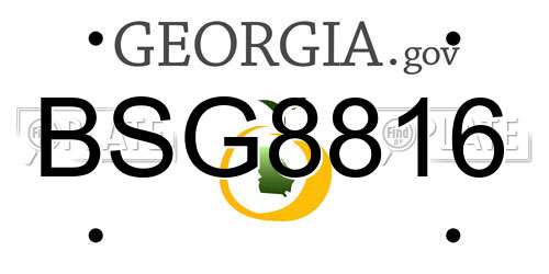 BSG8816 Georgia License Plate