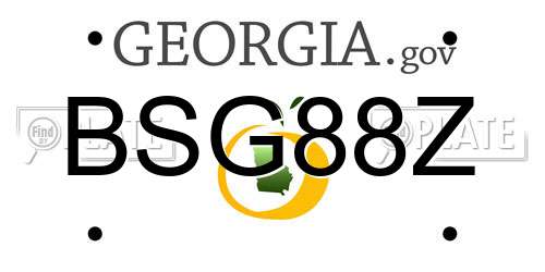 BSG88Z Georgia License Plate