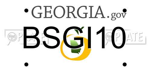 BSGI10 Georgia License Plate