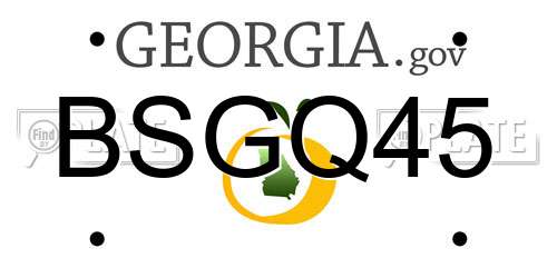 BSGQ45 Georgia License Plate